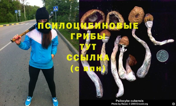 спиды Алзамай
