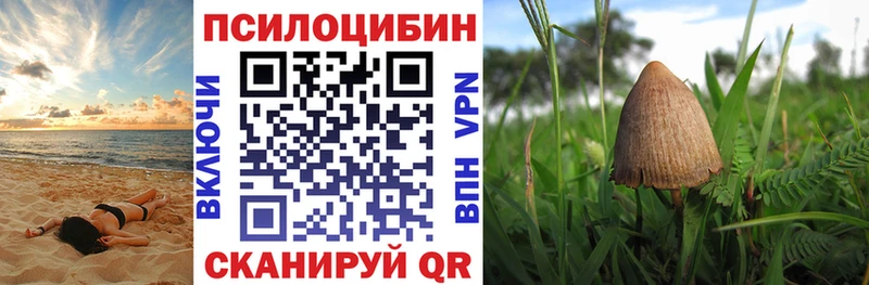 Галлюциногенные грибы Magic Shrooms  Первоуральск 