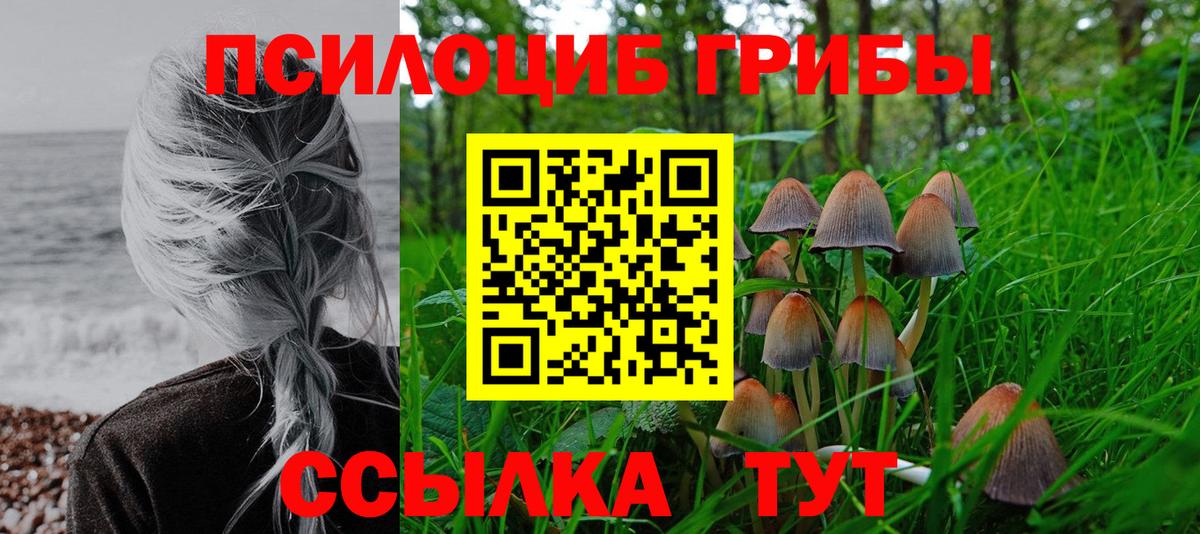 Галлюциногенные грибы Cubensis  Галлюциногенные грибы GOLDEN TEACHER  Вход с VPN  Первоуральск 